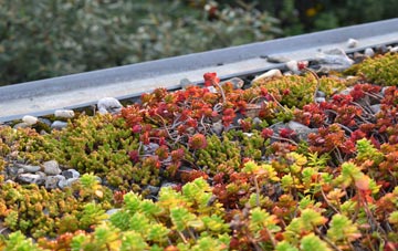 the cost of West Thirston green roof installation