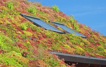 West Thirston living roof systems