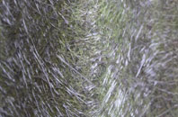 West Thirston fibreglass roof work